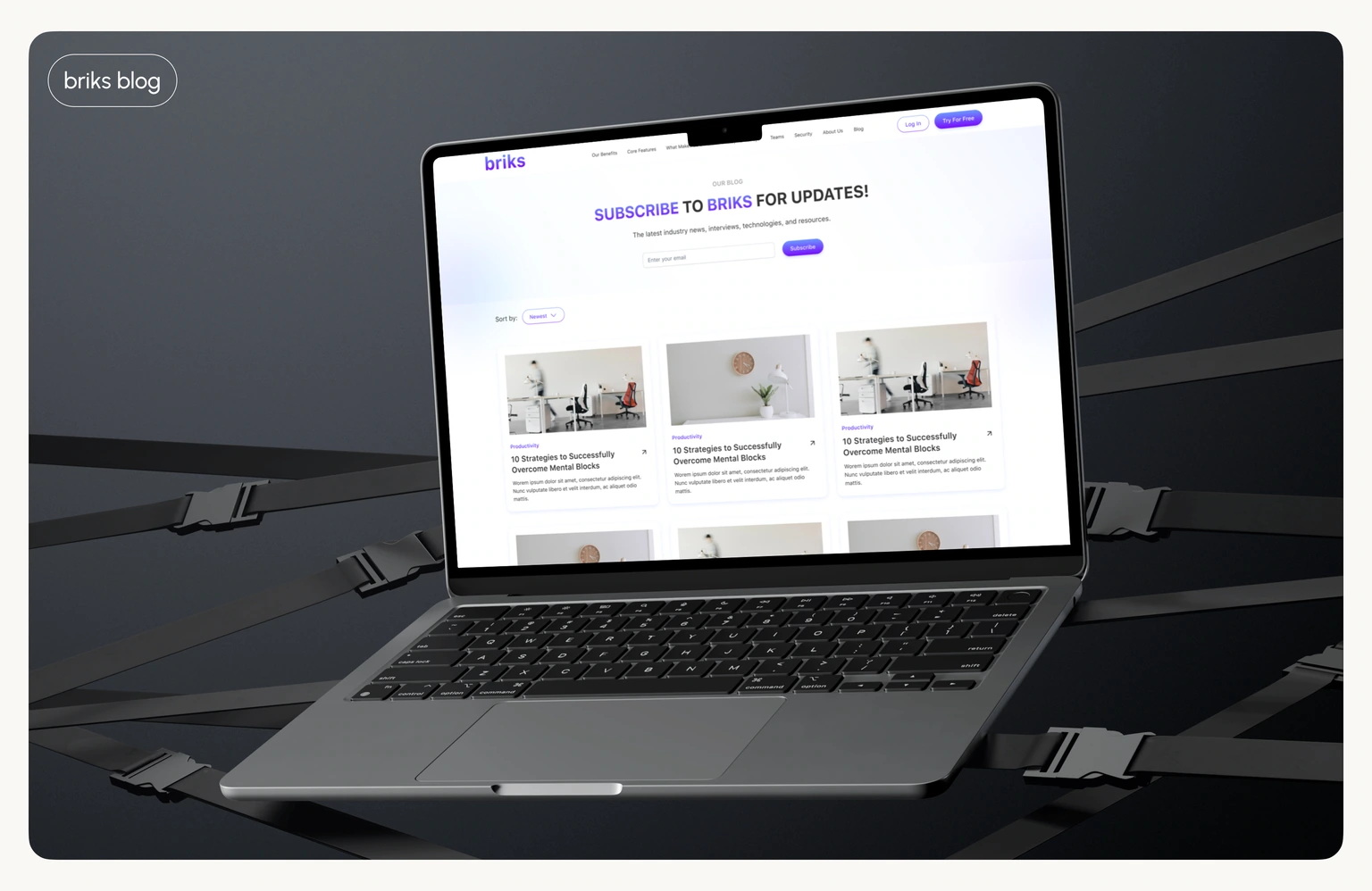 Editorial — blog page and article layout
