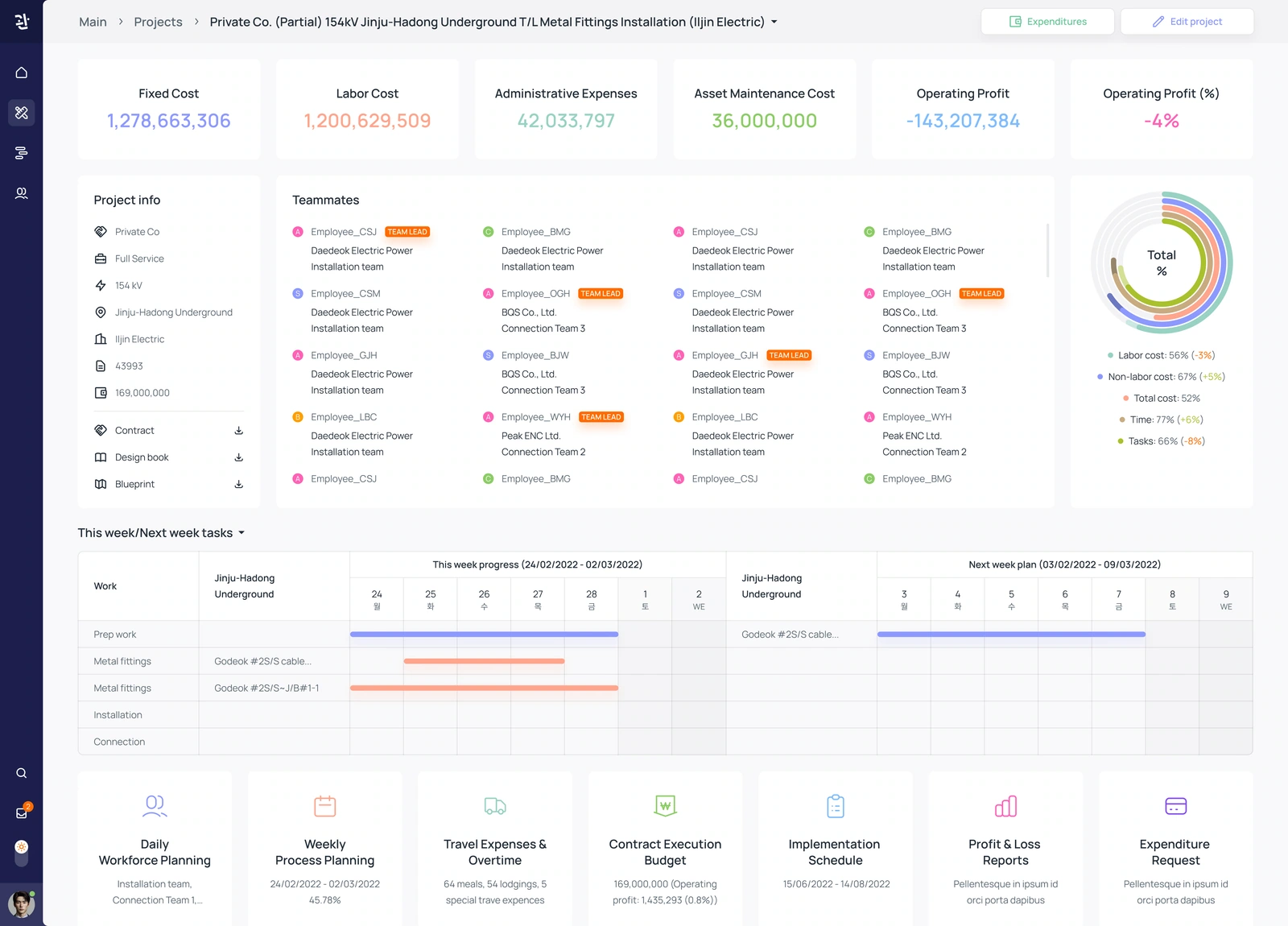 Project overview — cost indicators, team roles, progress chart and weekly schedule
