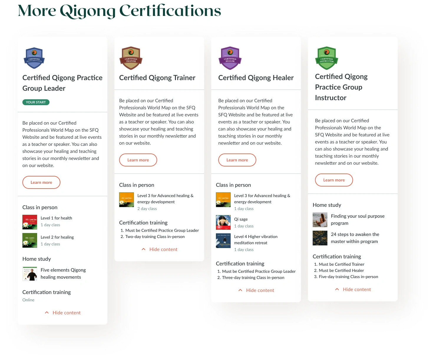 Certification paths — programme roles, course levels and training requirements