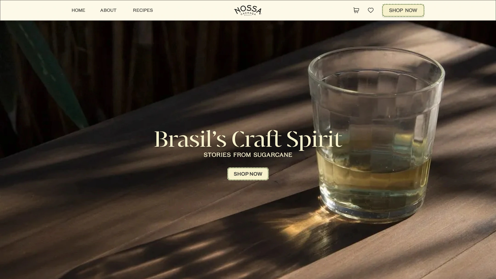 Homepage — photographic introduction, brand navigation and a route into the shop