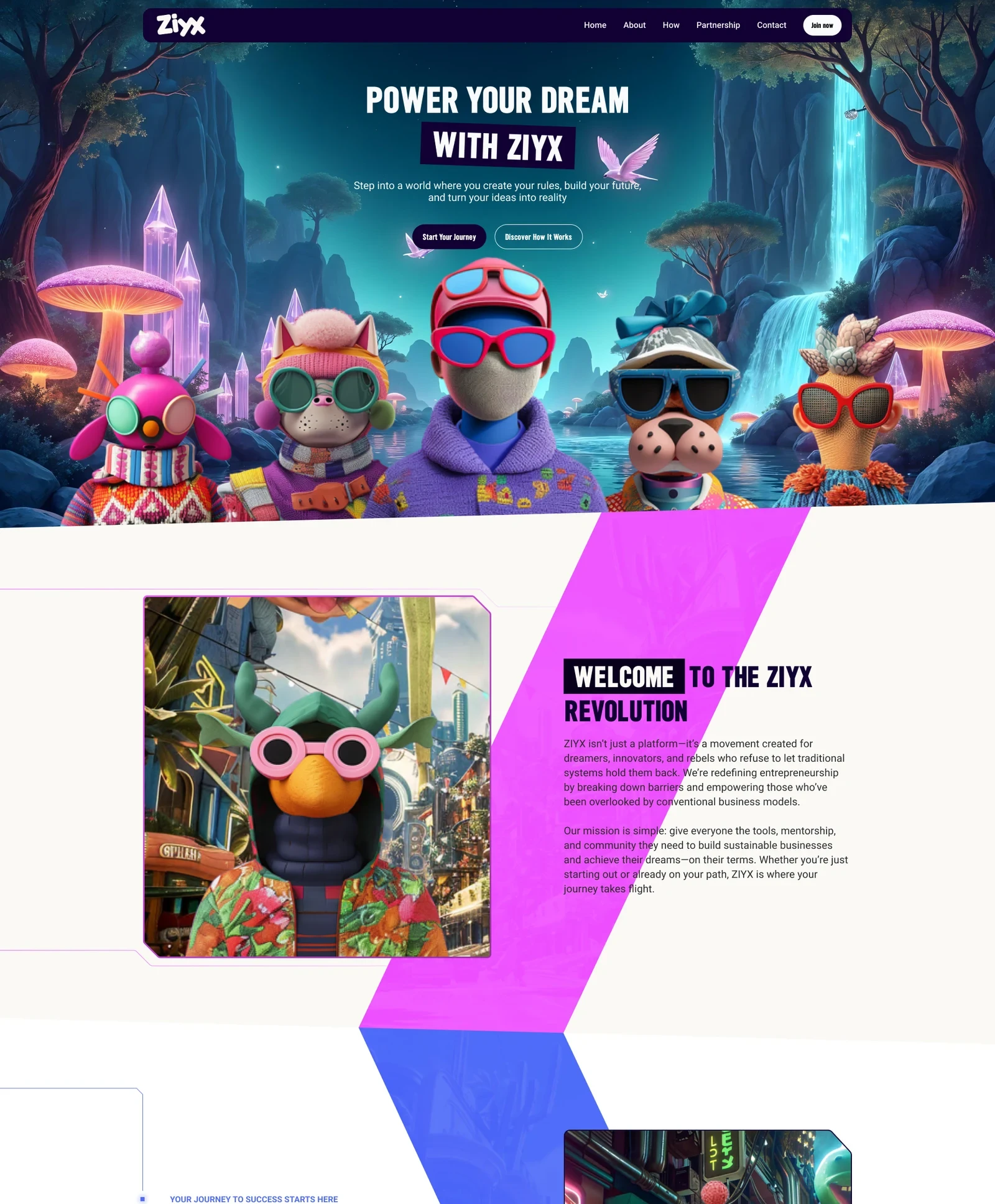 Website — introduction and product world